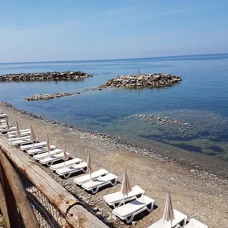 Tre Palme